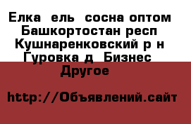 Елка, ель, сосна оптом - Башкортостан респ., Кушнаренковский р-н, Гуровка д. Бизнес » Другое   